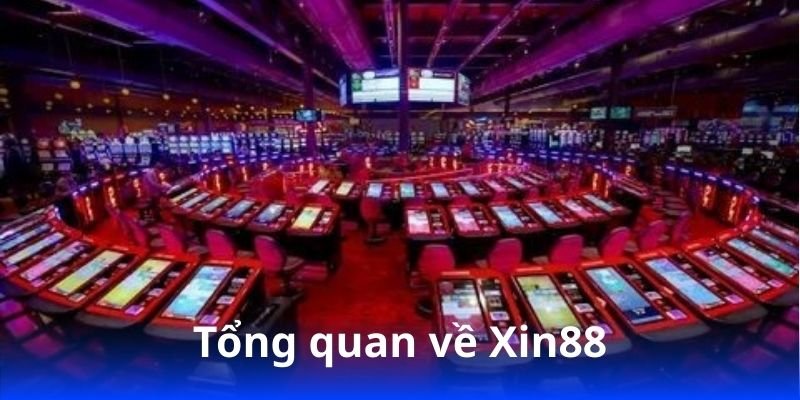 tong-quan-ve-xin88